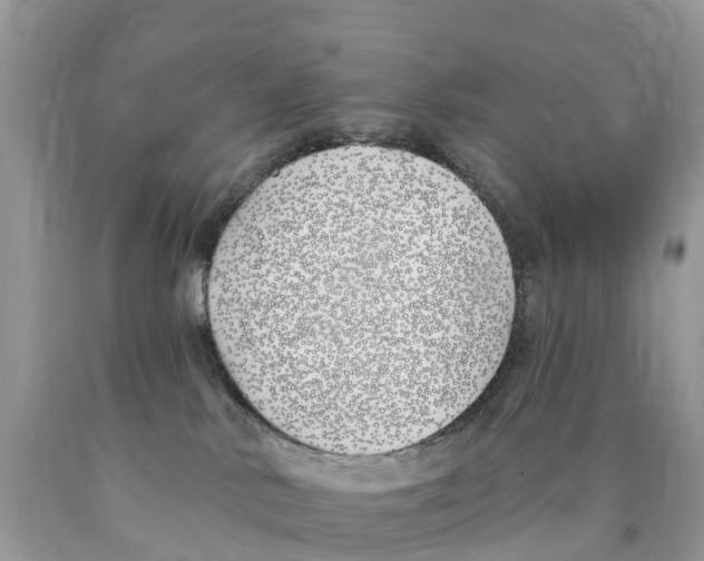X0000089900042200707262300