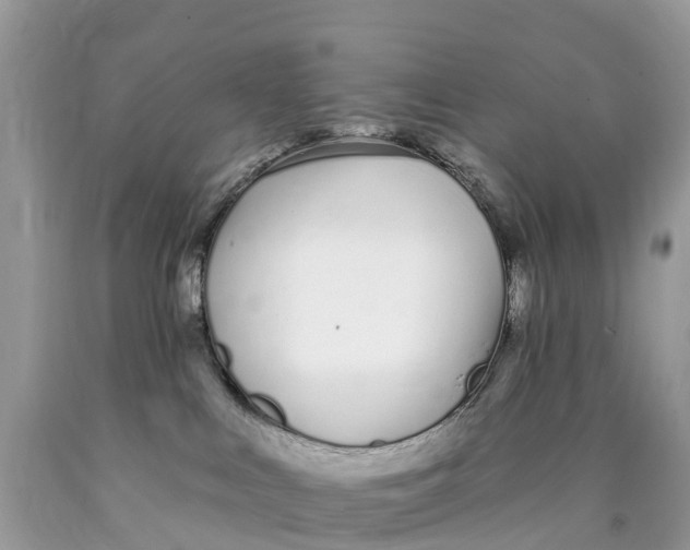 X0000089900043200707262300