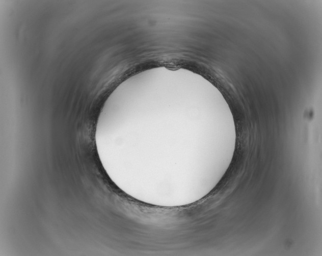 X0000089900044200707262300