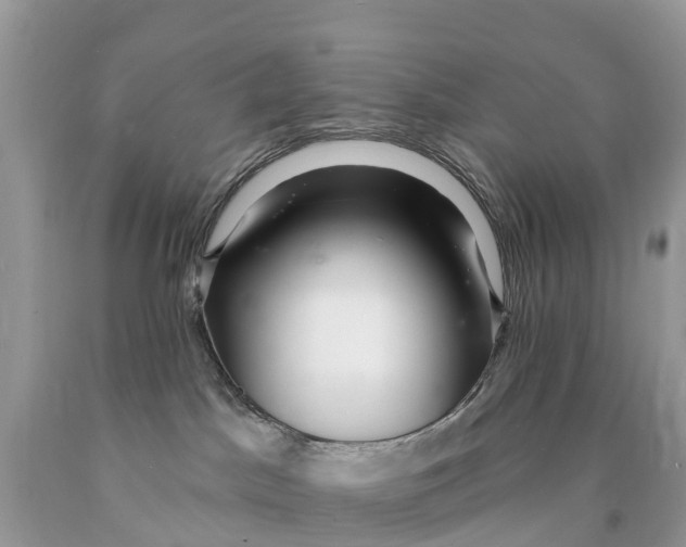 X0000089900045200707262300