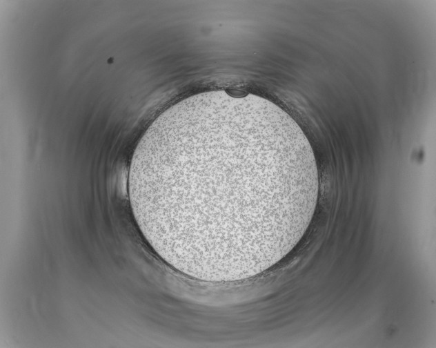 X0000089900046200707262300