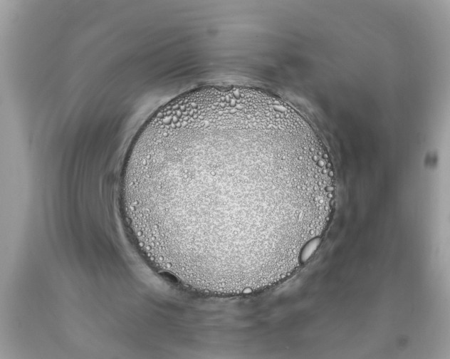 X0000089900049200707262259