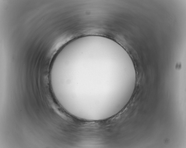 X0000089900050200707262300