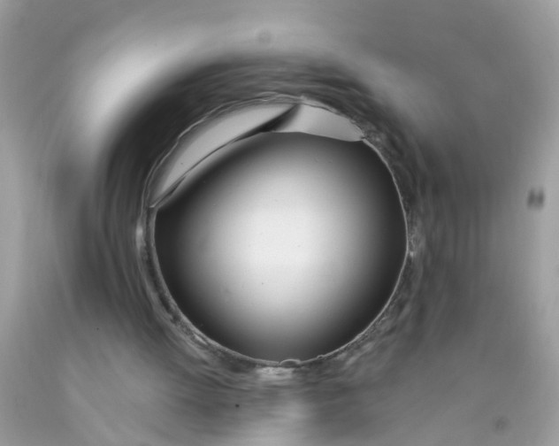 X0000089900052200707262300