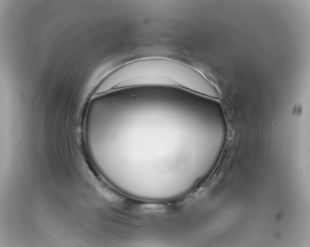 X0000089900053200707262300