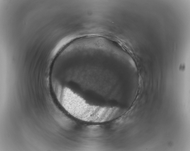 X0000089900054200707262300