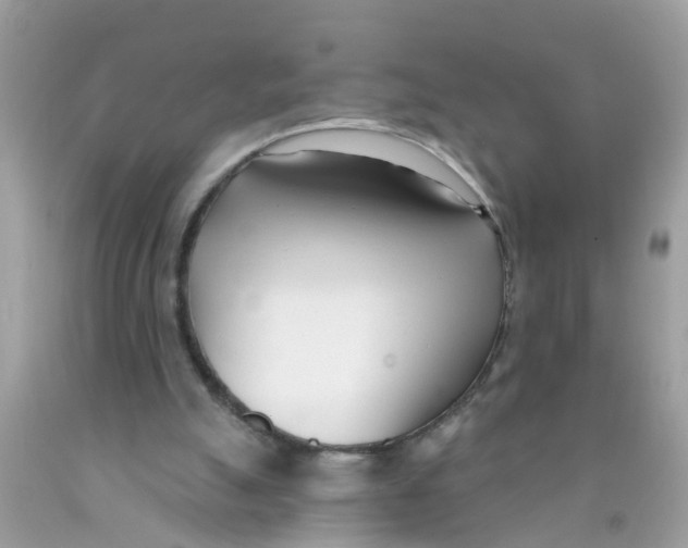 X0000089900055200707262300