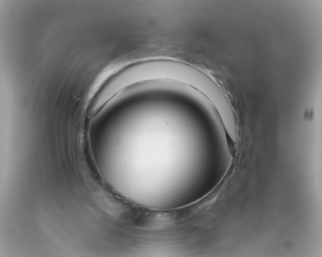 X0000089900056200707262300