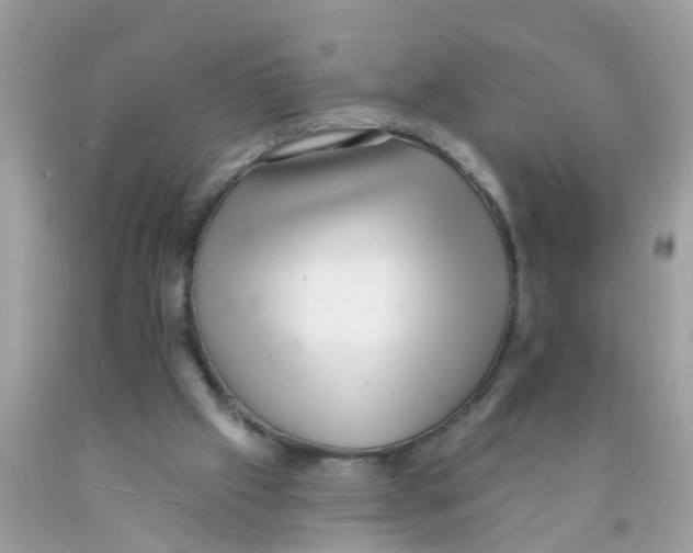 X0000089900057200707262300