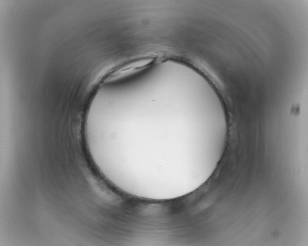 X0000089900058200707262300