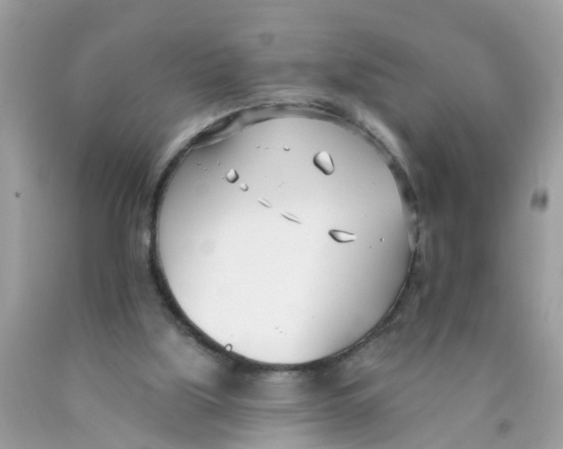 X0000089900059200707262300