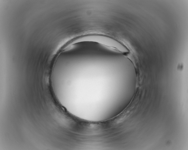 X0000089900060200707262300