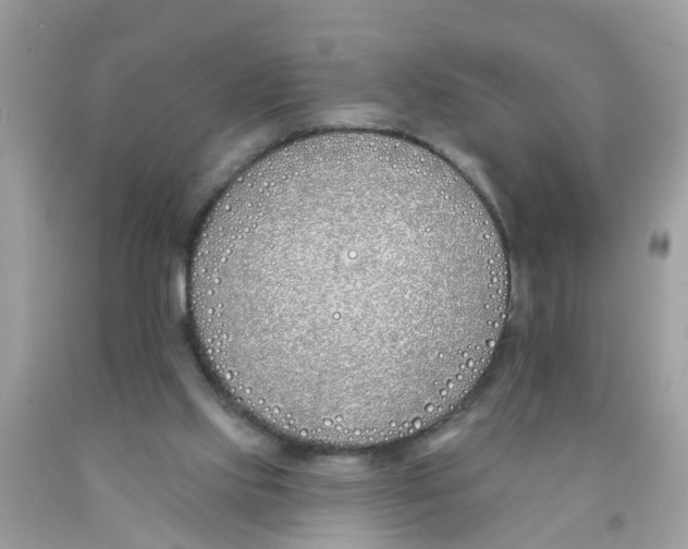 X0000089900061200707262300