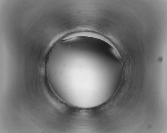 X0000089900064200707262300
