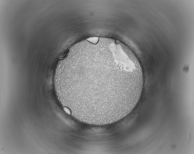 X0000089900065200707262300