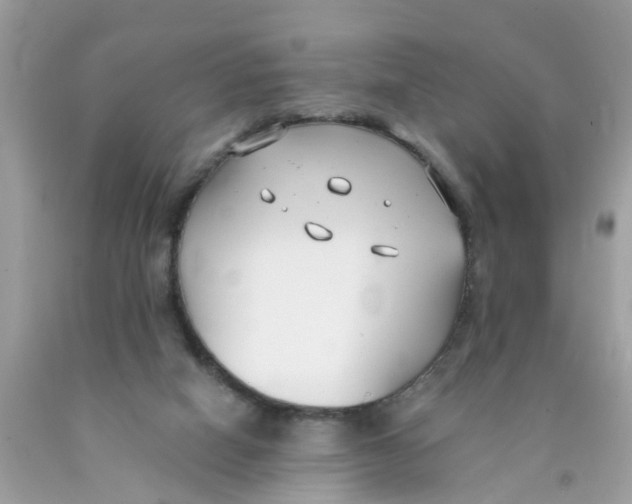 X0000089900066200707262300