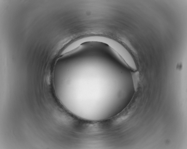 X0000089900068200707262300