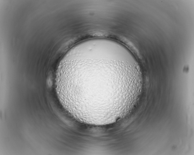 X0000089900069200707262300