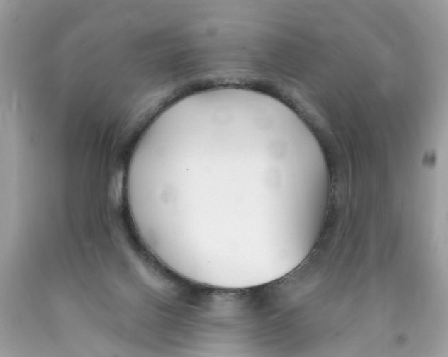 X0000089900070200707262300