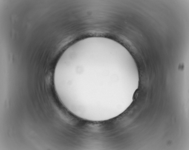 X0000089900071200707262300