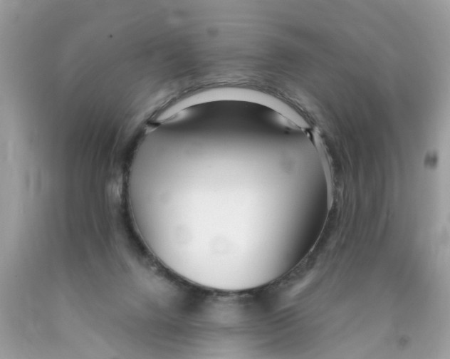 X0000089900072200707262300