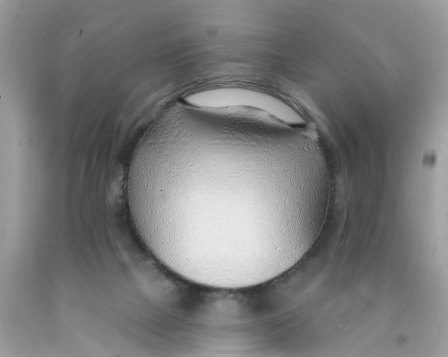 X0000089900073200707262300