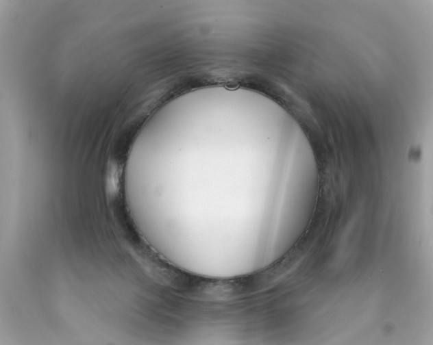 X0000089900075200707262300