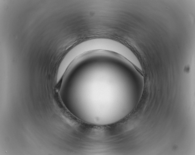 X0000089900076200707262300