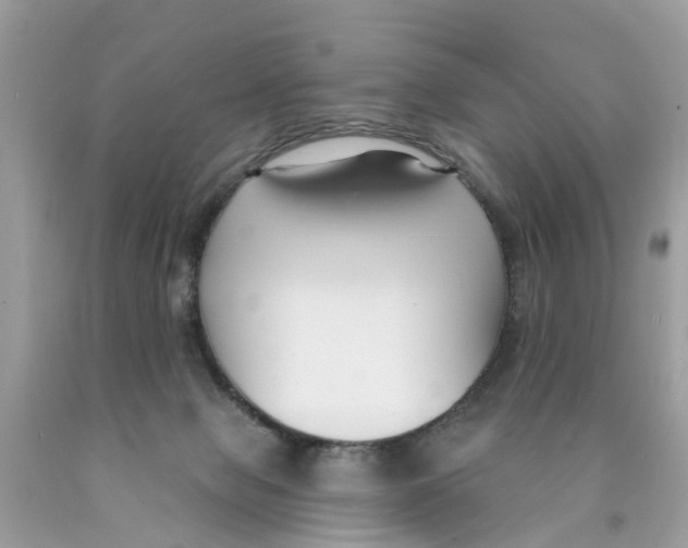X0000089900077200707262300