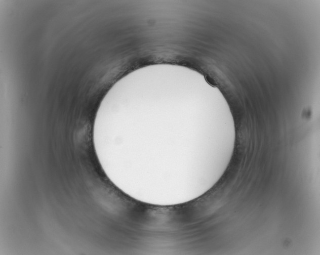 X0000089900079200707262300