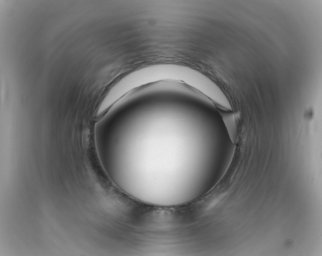 X0000089900080200707262300