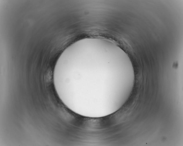 X0000089900081200707262300