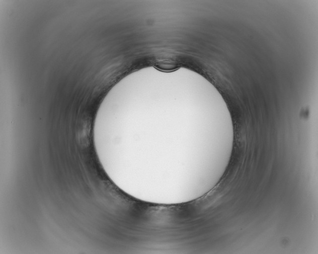 X0000089900082200707262300