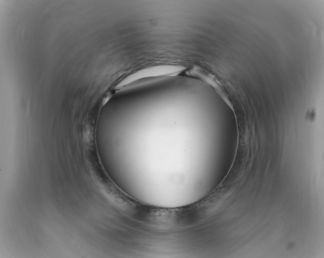 X0000089900084200707262300