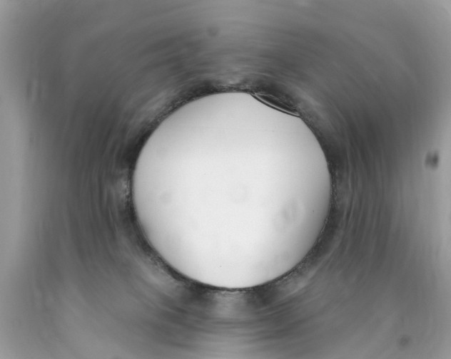 X0000089900085200707262300