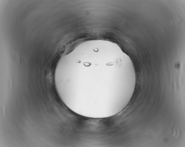 X0000089900086200707262300