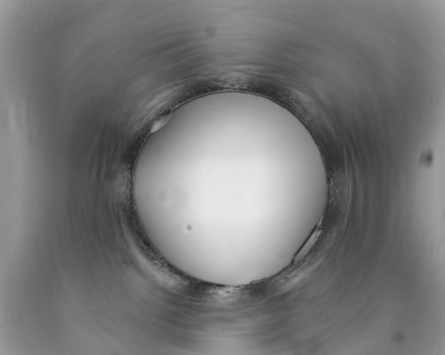 X0000089900092200707262300