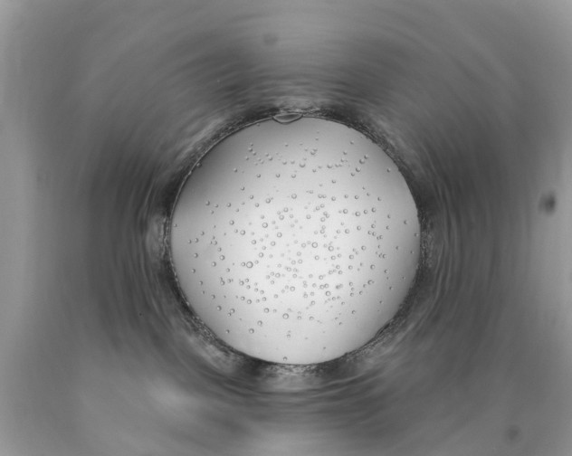 X0000089900093200707262300