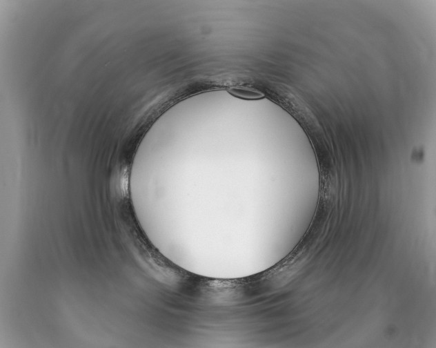 X0000089900095200707262300