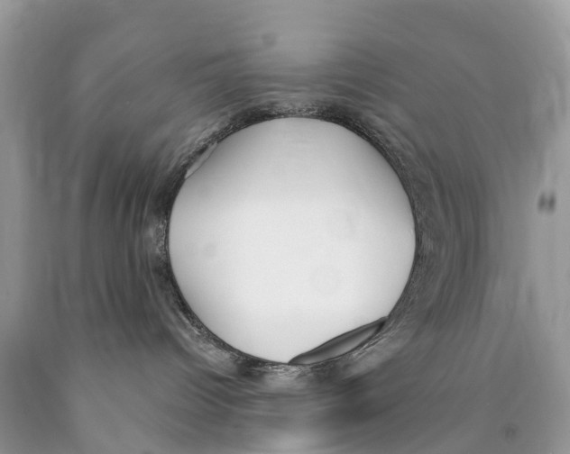 X0000089900096200707262300