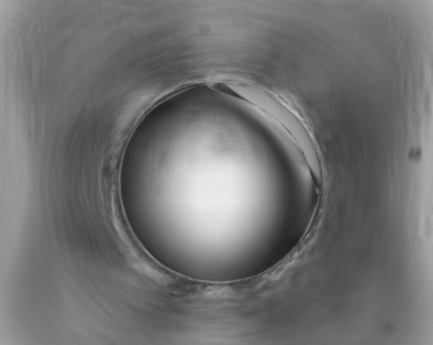 X0000089900097200707262259