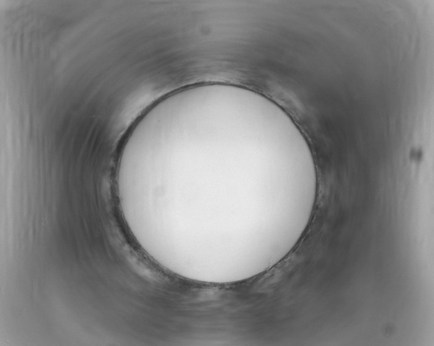 X0000089900098200707262259
