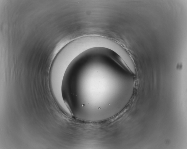 X0000089900099200707262259