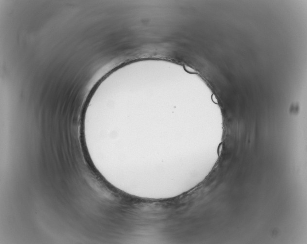 X0000089900100200707262259