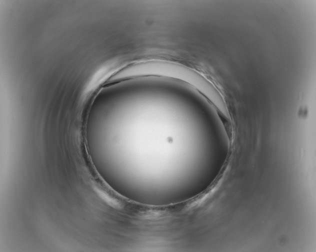 X0000089900101200707262259