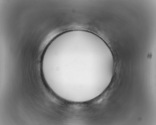 X0000089900103200707262259