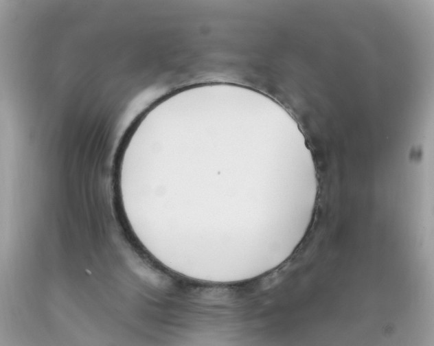 X0000089900104200707262259