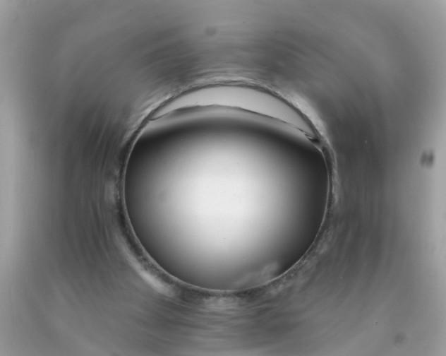 X0000089900105200707262259
