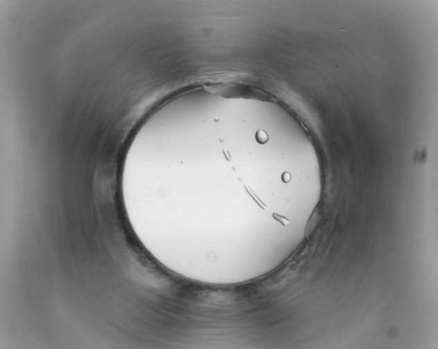 X0000089900107200707262259