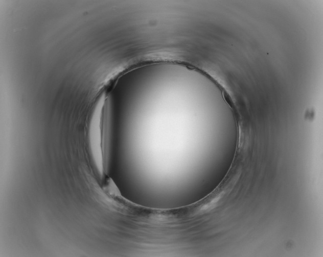 X0000089900109200707262259